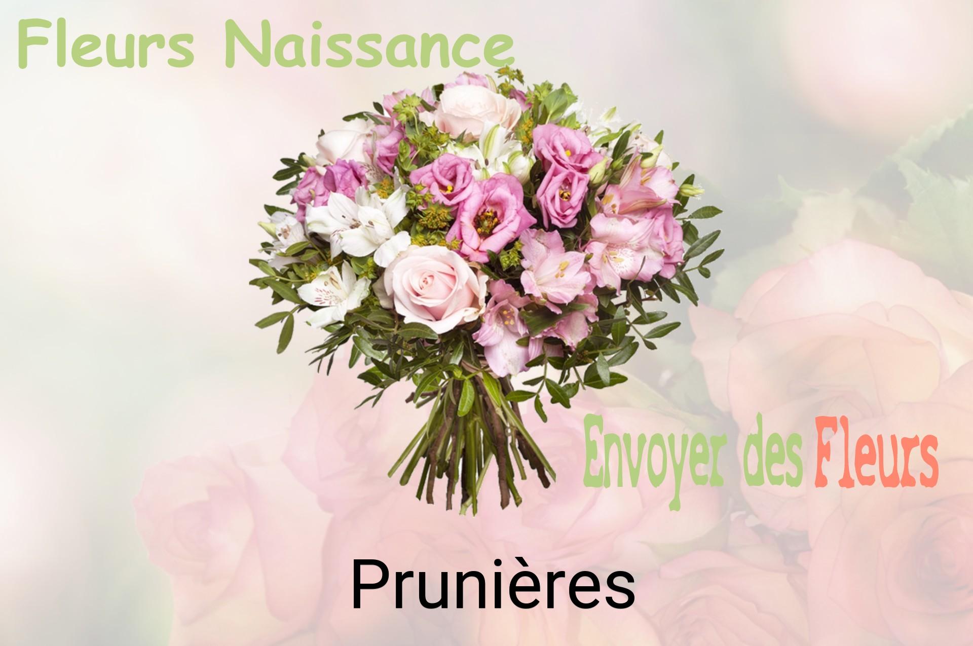 Bouquet de fleurs de naissance livré à Prunières